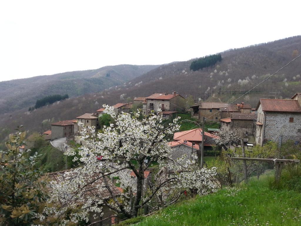 Il Borgo Dei Corsi - Charming Holiday Apartments Ortignano Raggiolo Exterior foto